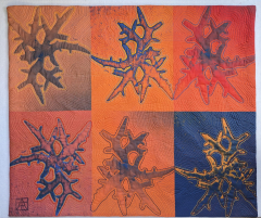 Yaacov's Algae in Orange
