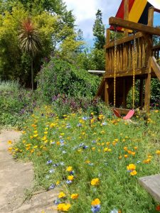 My garden in full spring bloom