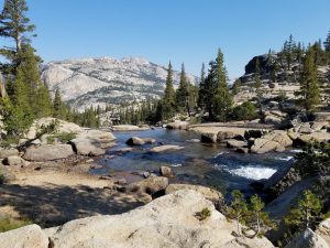 View on our High Sierra trip