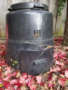 My compost bin