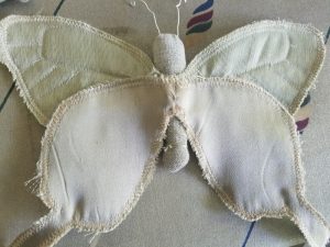 Butterfly 4 backside