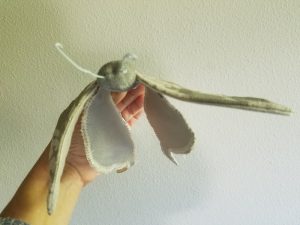 Wing droopiness