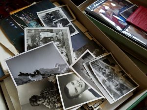 family photos
