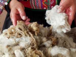 Clean wool