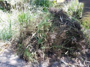A pile of garden debris