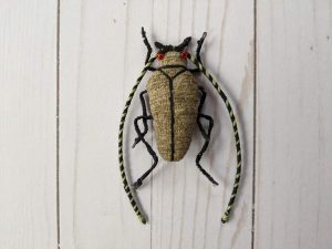 Green textile beetle