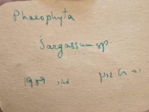 Back of card
