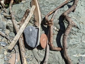 Beach finds