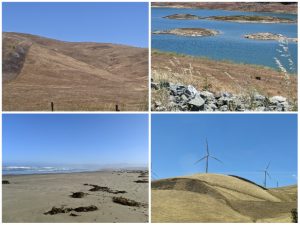 California summer landscapes