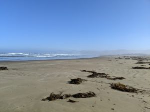 Empty beach along Highway 1