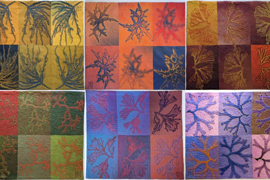 "Yaacov's Algae" art quilt series
