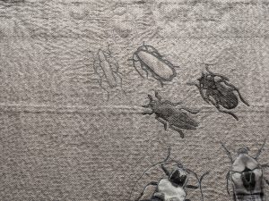 Fabric beetles