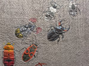 Fabric beetles
