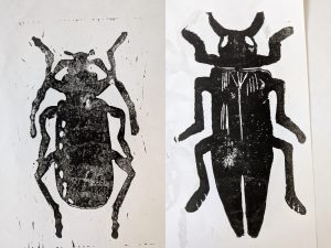 Beetle lino stamp prints